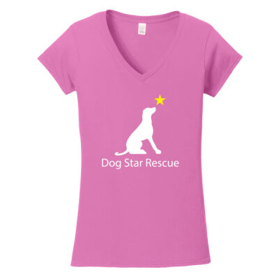 Ladie V Neck T Thumbnail